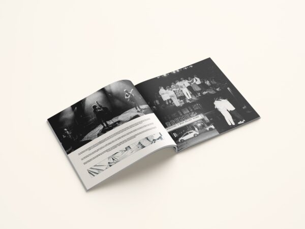"Bag Vore Øjne Strømmer Drømme Sagte Forbi" Double Vinyl LP - Image 3