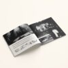 "Bag Vore Øjne Strømmer Drømme Sagte Forbi" Double Vinyl LP