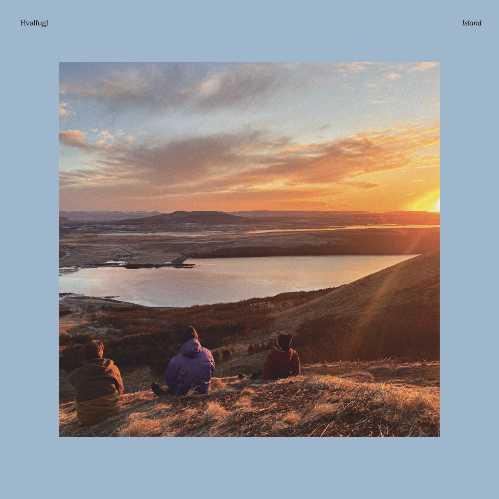 hvalfugl cover 2 "Island" Vinyl LP